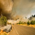 What States Have the Most Wildfires? How Insulation Installation Can Protect Your Home