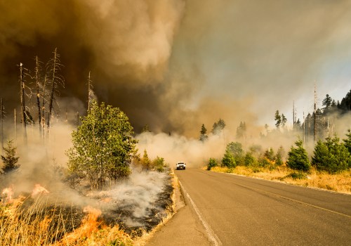 What States Have the Most Wildfires? How Insulation Installation Can Protect Your Home